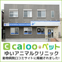 calooペットバナー